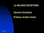 LA NULIDAD SOCIETARIA (360448)