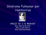 Síndrome Pulmonar por Hantavirus