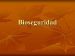 Bioseguridad - Google Groups