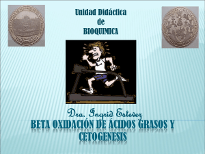 Beta oxidación de ácidos grasos Y CETOGENESIS