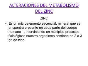 metrabolismo del zinc