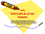 NutriciÃ³n en el ser humano, 8vo