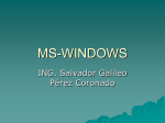 MS-WINDOWS - UT-AGS