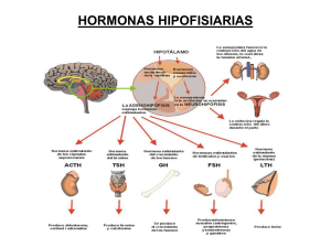 Hormonas de Crecimiento y Tiroideas