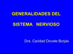 Generalidades del Sistema Nervioso.