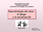 amorbiol19a