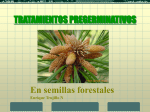 tratamientos pregerminativos