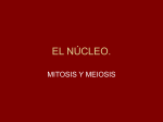 el núcleo. - BioGeoAlarcos