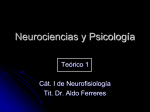 Neurociencias y Psicología - Facultad de Psicología