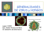 virus: generalidades