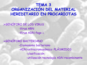 tema 3 organización del material hereditario en procariotas