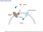 Sistemas de Transducción de GPCRs. Adenilato Ciclasa