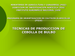 Diapositiva 1 - BibliotecaDeaMag