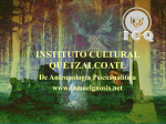 Tajin - Instituto Cultural Quetzalcoatl