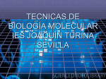 TECNICAS DE BIOLOGIA MOLECULAR