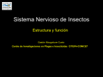 clase Fisiologia de Insectos