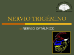 nervio trigémino