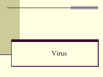 Virus - Colegio Santa Sabina