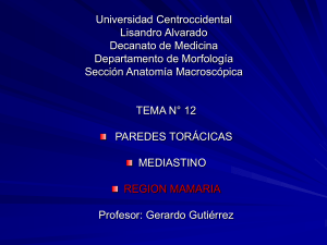 Diapositiva 1 - Facultad de Medicina de la UCLA