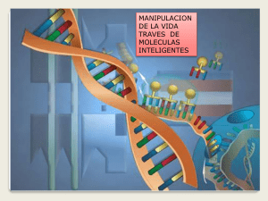 exposicion anomalias cromosomicas somaticas y sexuales grupo 03