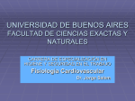 No Slide Title - Universidad de Buenos Aires