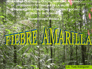 Diapositiva 1 - Facultad de Medicina de la UCLA