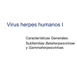 Virus herpes humanos I