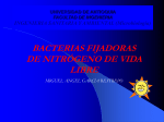 Bacterias fijadoras de nitrógeno de vida libre