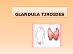 glandula tiroides - Aula Virtual FCEQyN