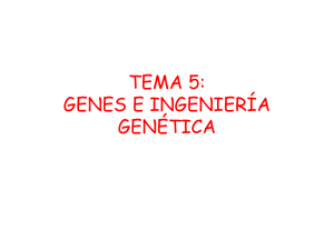 tema 4: genes y manipulación genética