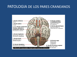 Diapositiva 1