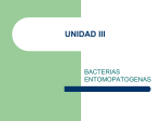 unidad iii bacterias entomopatogenas
