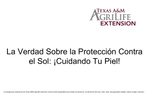 La Verdad Sobre la Protecci&oacute;n Contra el Sol: &iexcl;Cuidando Tu Piel!