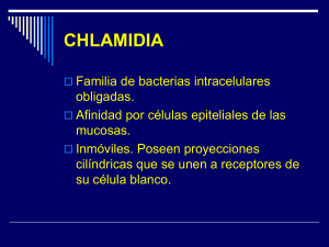 CHLAMIDIA