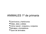 ANIMALES 1º de primaria