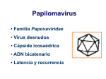 Papilomavirus