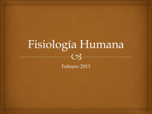 Fisiologia Humana