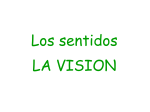 la_vision