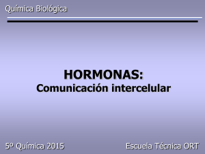HORMONAS - ORT (Almagro)