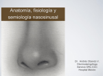 Anatomía, fisiología y semiología nasosinusal - medicina