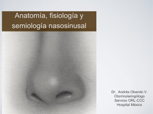 Anatomía, fisiología y semiología nasosinusal - medicina