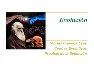 Evolución - fundamentosdebiologia