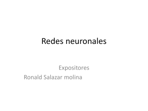 Redes neuronales