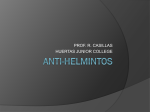 Anti-Helmintos2003