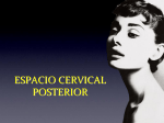 espacio cervical posterior tc