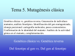 Tema 6. Mutagénesis clásica - Mi portal