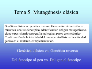 Tema 6. Mutag&eacute;nesis cl&aacute;sica - Mi portal