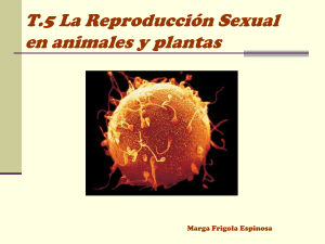 La reproducción sexual en los animales