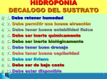 hidroponia - escuelasrufinistas