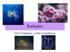 Radiados - bionotas